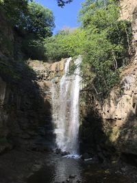 View of waterfall in forest