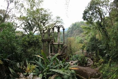 Plants and trees against sky