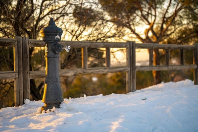 Snow covered field