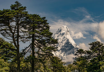 Low angle view of snowcapped mountain against sky