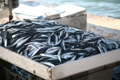 Close-up of fish for sale at market