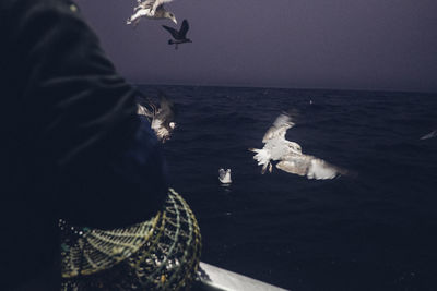 Seagulls flying over sea against sky