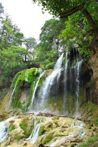 Scenic view of waterfall in forest