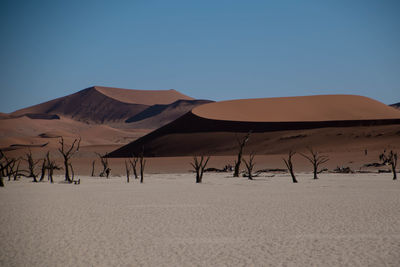 Sand dunes in desert against clear blue sky