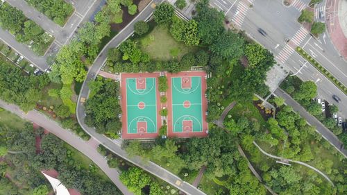 High angle view of road by plants in city