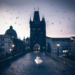 View of birds flying over illuminated buildings in city