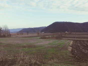 Scenic view of field against sky