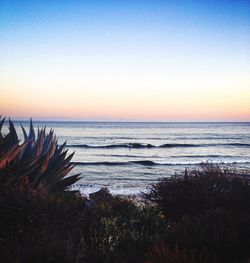 Scenic view of sea against clear sky