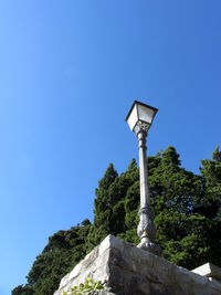 Low angle view of tree against clear blue sky