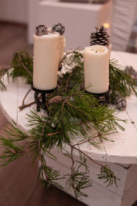 Close-up of potted plant on table