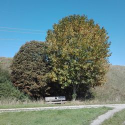 Trees on field against clear sky