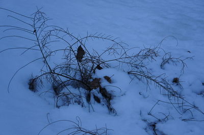 Bare tree against sky during winter