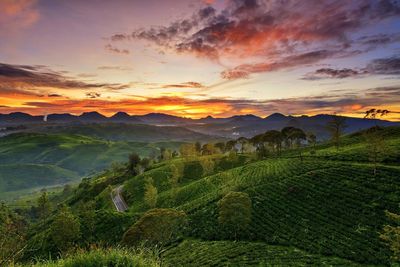 Scenic view of farm against sky during sunset