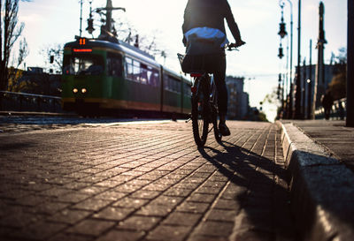 Rear view of man riding bicycle on street