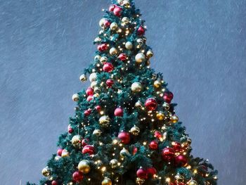 View of christmas tree