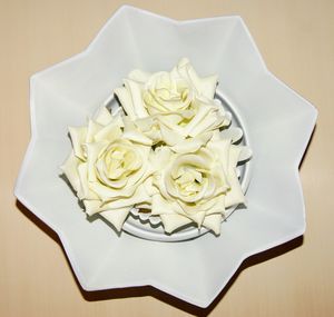 Close-up of white flower in plate