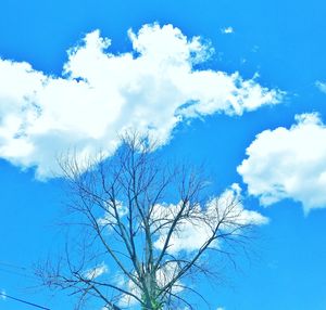 Low angle view of bare tree against blue sky