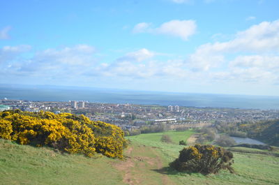 Scenic view of landscape against sky