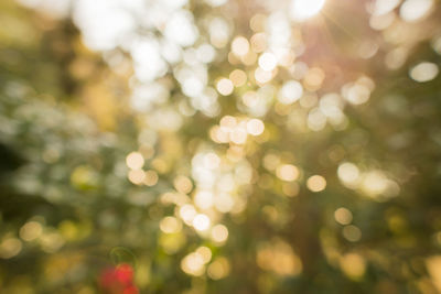 Defocused image of blurred lights