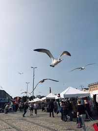 Birds flying over people against sky