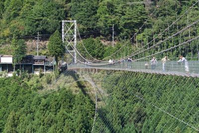 High angle view of trees on landscape