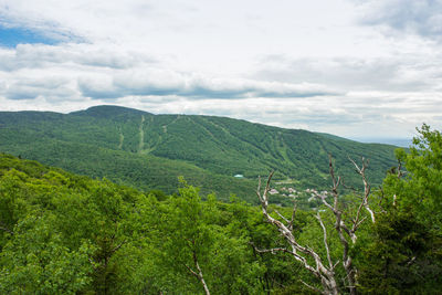 Scenic view of green landscape against sky