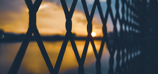 Close-up of silhouette plants against lake during sunset