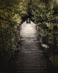 Footbridge amidst trees in forest