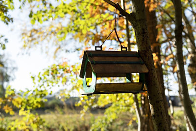 Wooden bird feeder hanging on tree branch in autumn forest, fall season, birdhouse, bird watching