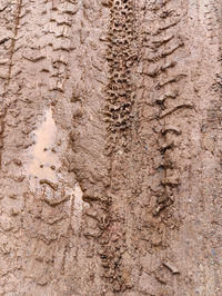 Full frame shot of tire tracks