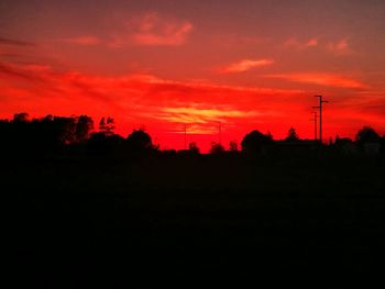 Silhouette of trees at sunset