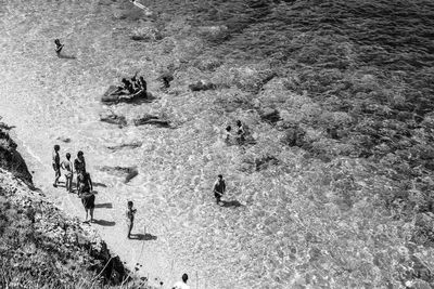 High angle view of people swimming in sea