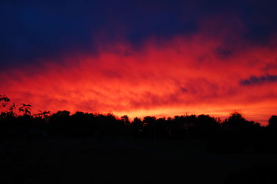 Silhouette trees against dramatic sky during sunset