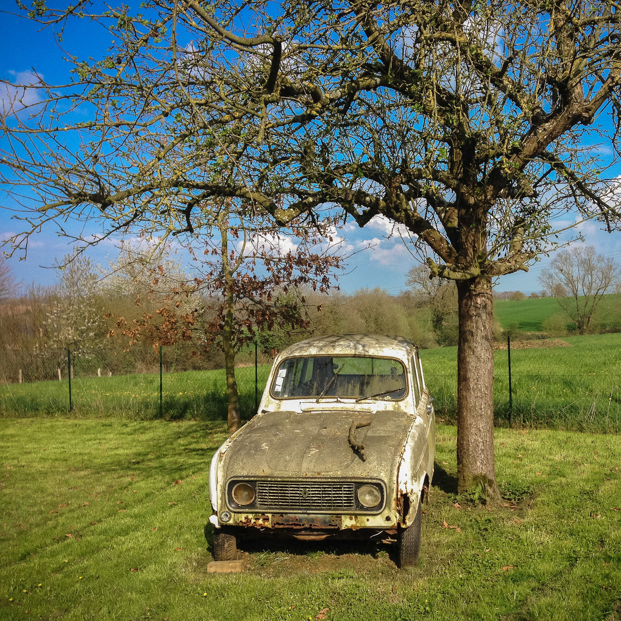 CAR PARKED ON FIELD