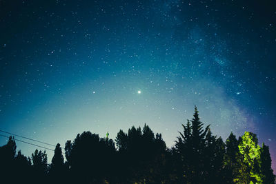 Low angle view of silhouette trees against sky at night