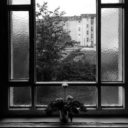 Close-up of boy against window