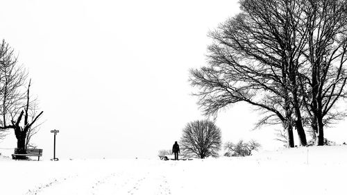 Bare trees on snow covered field against sky