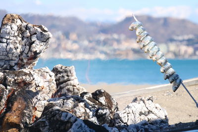 Sardines grilling on fire with sea background 