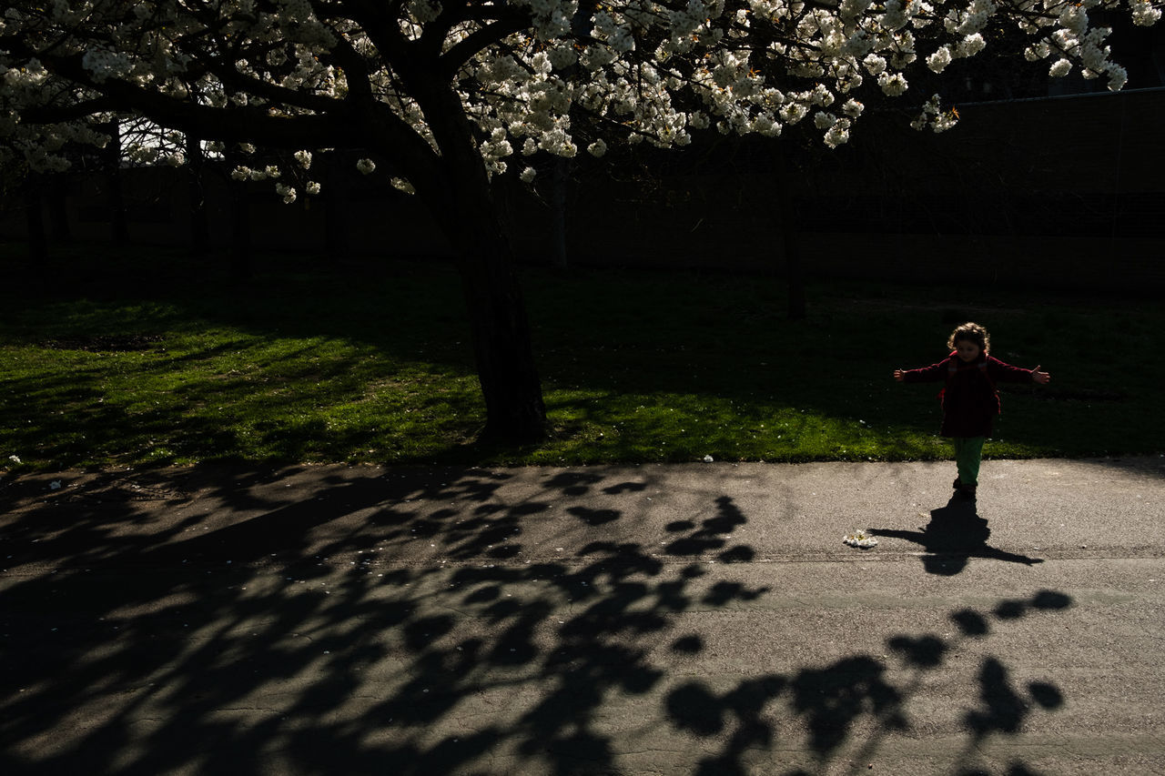 plant, tree, one person, real people, nature, full length, lifestyles, women, leisure activity, growth, shadow, outdoors, day, walking, standing, childhood, child, sunlight, footpath