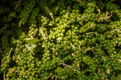 Full frame shot of green leaves