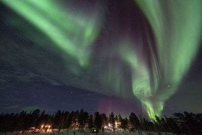 Low angle view of illuminated trees against sky at night