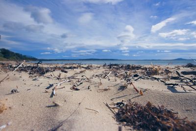 Scenic view of beach against sky
