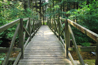 Wooden footbridge in forest