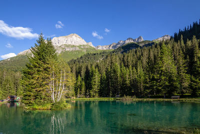 Scenic view of lake by trees against sky