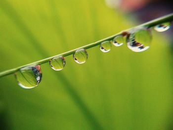 Close-up of raindrops on leaf