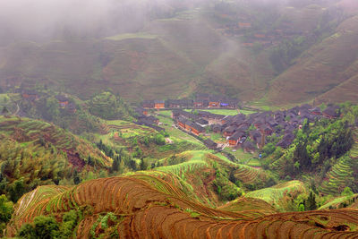 Aerial view of agricultural field