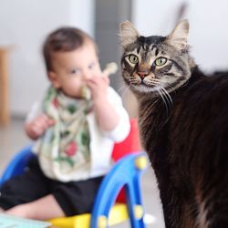 Portrait of boy and cat at home