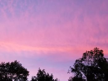 Low angle view of silhouette trees against sky during sunset