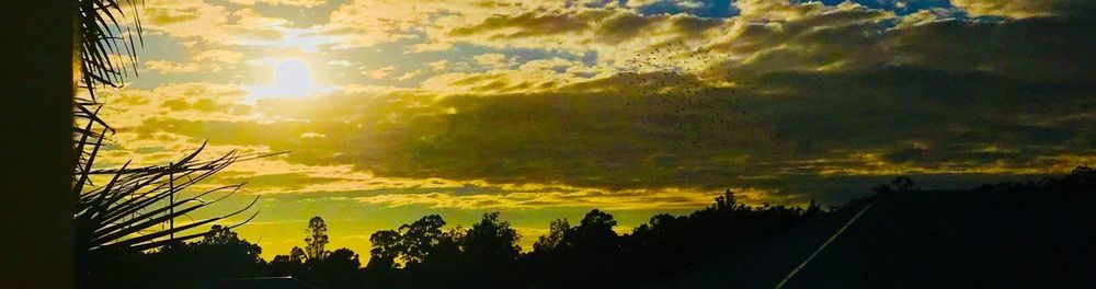 Low angle view of silhouette trees against sky during sunset