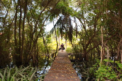 Tourists walking on footpath